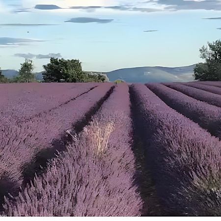 Bastide La Fondue Daire Allemagne-en-Provence Dış mekan fotoğraf