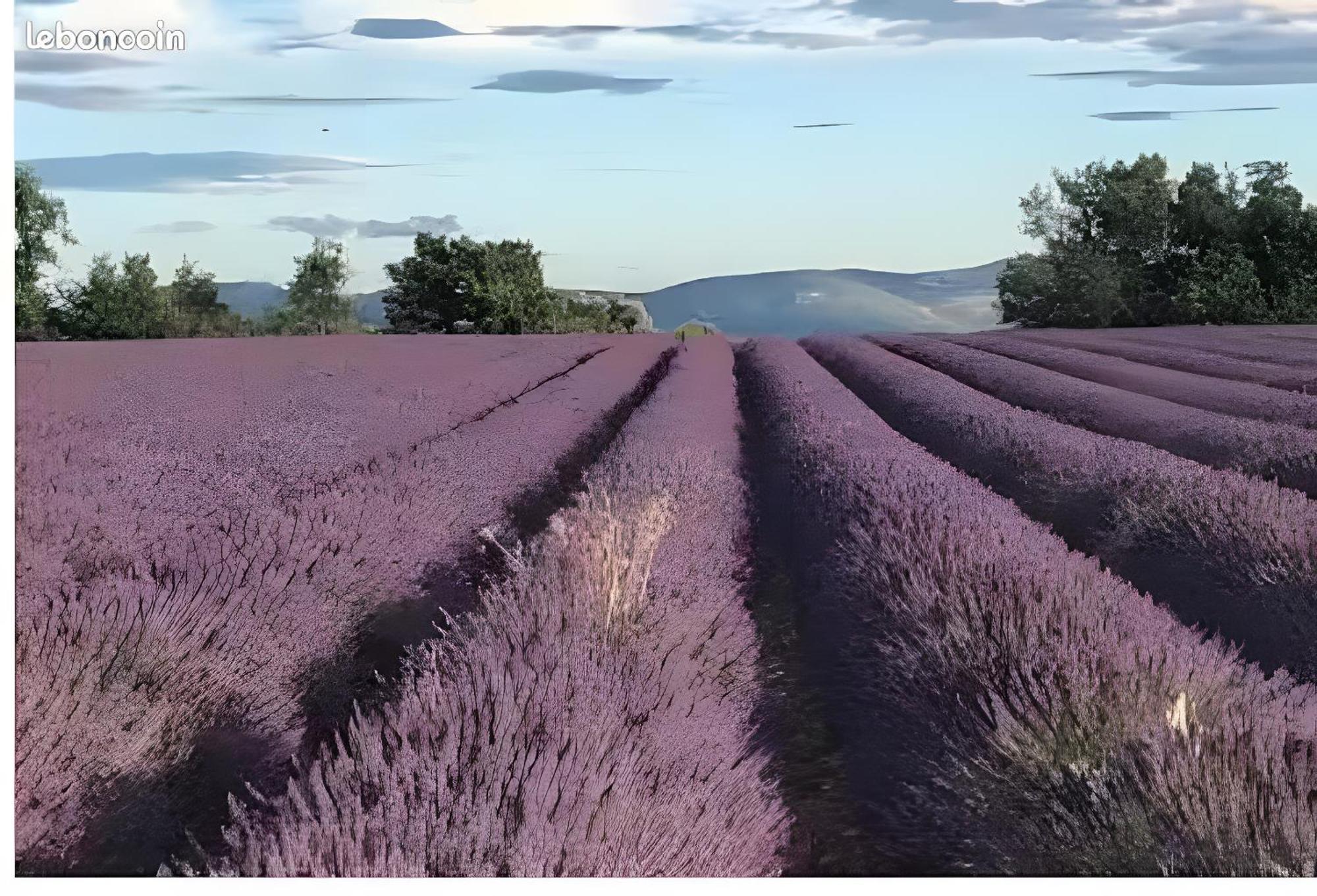 Bastide La Fondue Daire Allemagne-en-Provence Dış mekan fotoğraf
