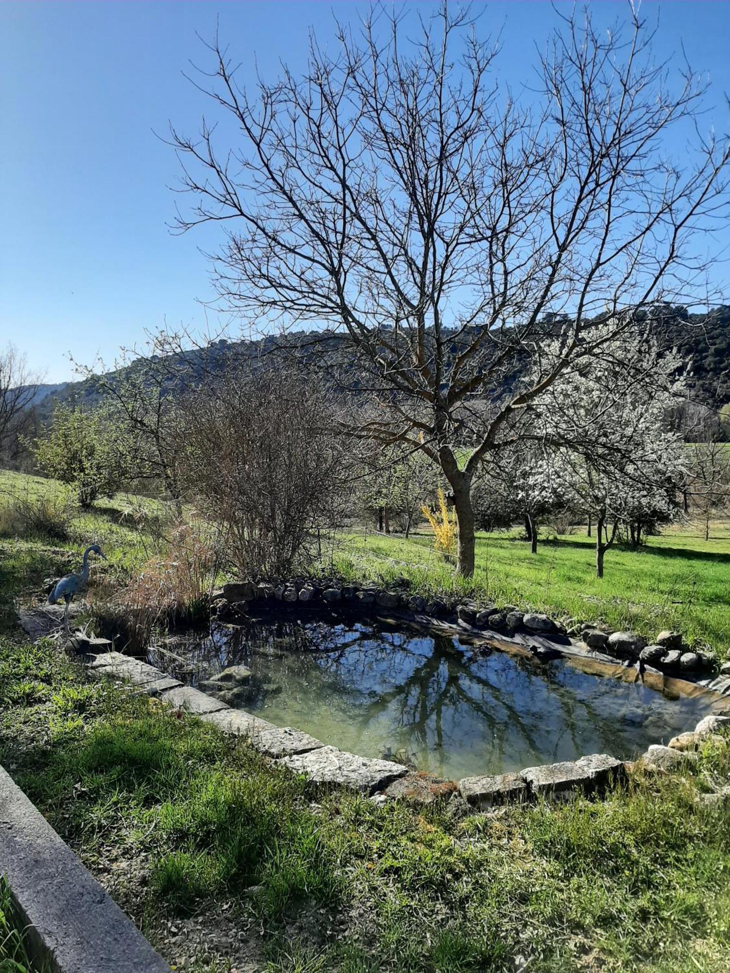 Bastide La Fondue Daire Allemagne-en-Provence Dış mekan fotoğraf